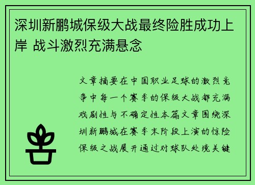 深圳新鹏城保级大战最终险胜成功上岸 战斗激烈充满悬念